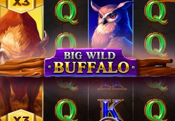 Игра Big Wild Buffalo в казино Изи Кеш